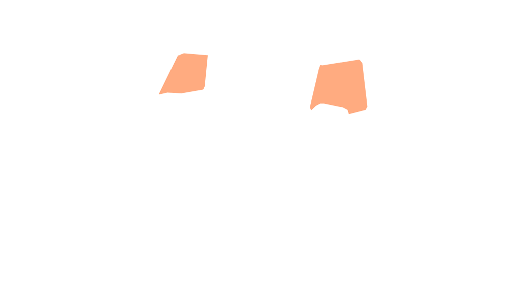 2-front-orange